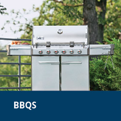 BBQs barbeques barbecues
